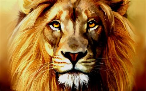 45 Lion Art Wallpaper Wallpapersafari