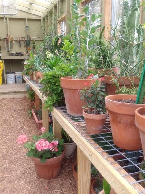 Great savings & free delivery / collection on many items. Love shelves for back of future greenhouse...BAM ...