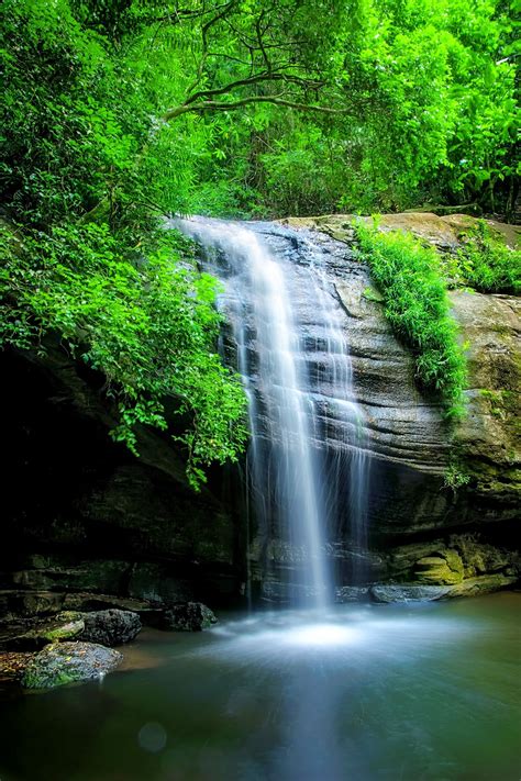 Serenity Green | Serenity, Waterfall, Australia travel
