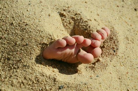 Free Images Hand Beach Sand Feet Summer Leg Finger Foot