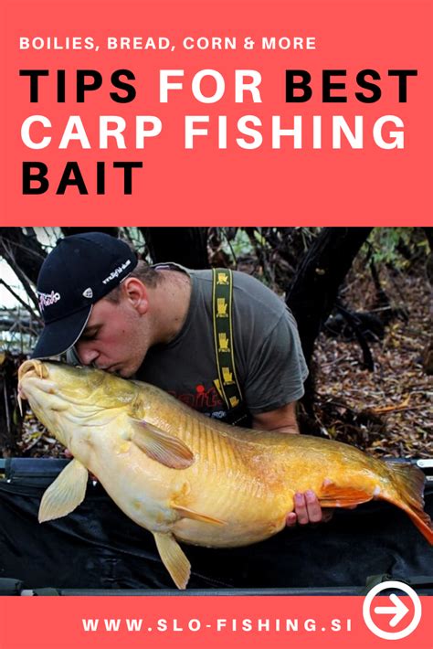 Tips for carp fishing: BEST bait, must have equipment and more! | Carp