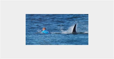 Un surfeur australien attaqué par un requin en direct la vidéo
