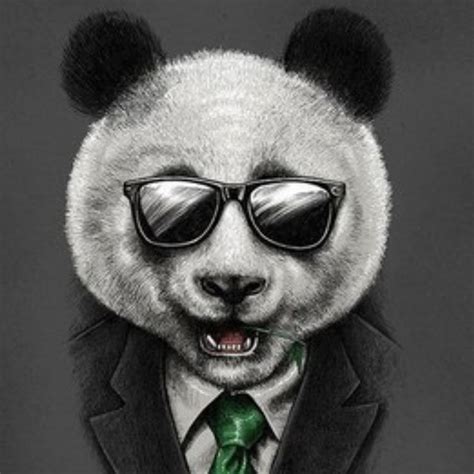 Panda P Youtube