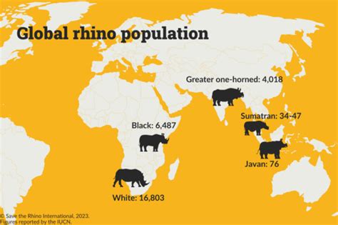 Rhino Populations Rhino Facts Save The Rhino International