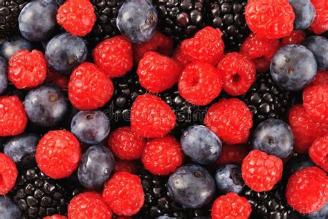 Mixed Berries Stock Image Image Of Blue Close Healthy 9442397