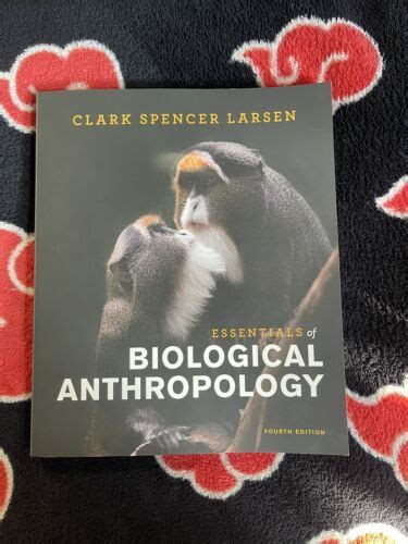 Essentials Of Biological Anthropology By Clark Spencer Larsen Fourth