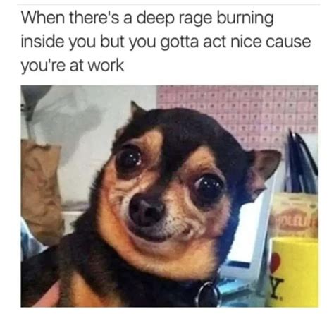 90 Funny Work Memes That Are Also Way Way Too Real