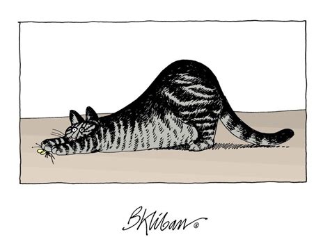 Stretching Cat By B Kliban Cat Medicine Kliban Cat Simons Cat Cat