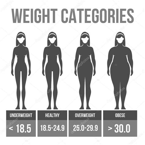 Woman Body Mass Index Stock Vector By ©in8finity 36317163