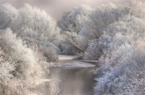 1400x875 Nature Landscape Winter Mist River Trees Birds Snow Frost