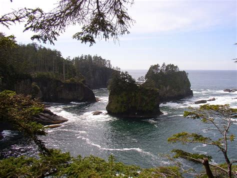 35.19 km from cape flattery lighthouse. Cape Flattery Trail, Neah Bay, WA. | Worlds to Explore ...