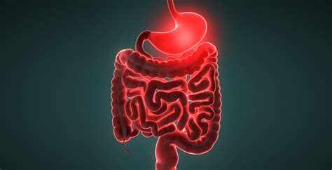 Infecção Intestinal Conheça Os Sintomas E Tratamentos