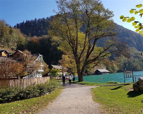 Klippenspringen gilt als extremsportart, denn der wunderschöne wolfgangsee in österreich ist perfekt zum üben. Goldener Herbst am Wolfgangsee | SalzburgerLand Magazin