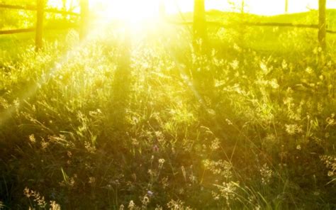 sun shine background - HD Desktop Wallpapers | 4k HD