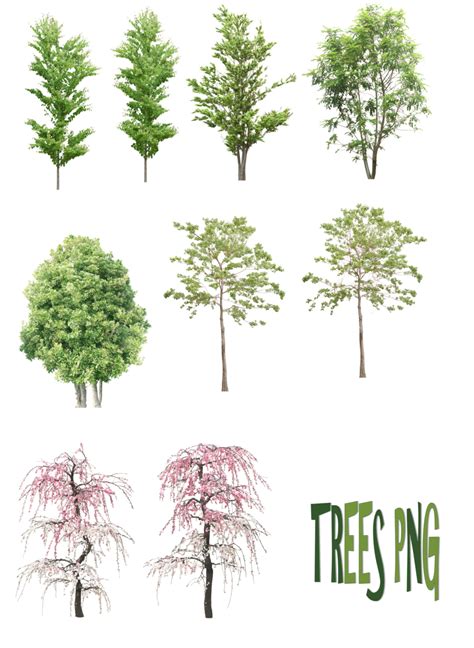 Trees Png By Mysticmorning On Deviantart Landscape Architecture