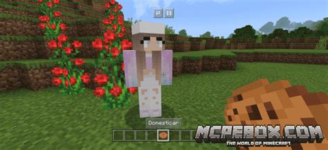 The Best Girlfriend Mods For Minecraft Pe Bedrock Edition Mcpe Box