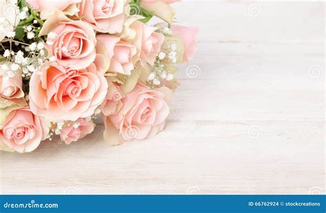 Delicate Bouquet Of Fresh Pink Roses Stock Photo Image Of Gratitude