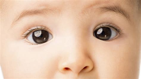 Find a latest 2021 name list of top islamic, cute and modern baby boy names, muslim. Top 10 baby boy and girl names 2015 | Illawarra Mercury ...