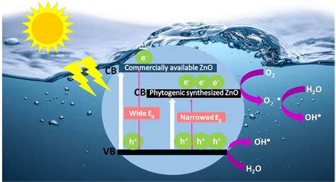 Possible Mechanism For Photocatalytic Degradation Of Dyes Download