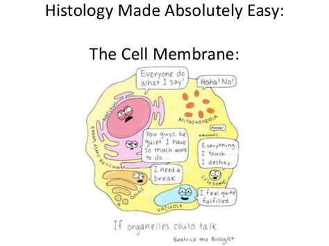 Check spelling or type a new query. Histology Made Easy: The cell membrane; Semi permeable ...