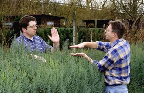 Wenn winter ist, gehen sie dann zum abkühlen nackig in garten. Gartenrecht: Hohe Bambushecke - Urteile - Mein schöner Garten