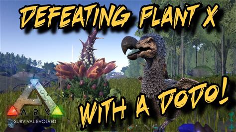 Plant species x in ragnarok (self.playark). Defeating Plant Species X with a Dodo! - Ark Survival ...