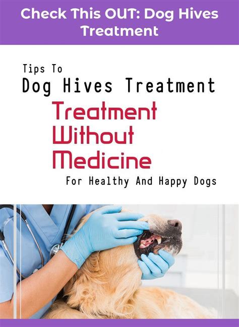 Pin On Dog Hives Treatment
