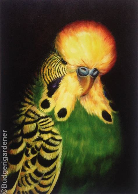 Green Budgerigar Greeting Card Oil Painting By Etsy Uk Green Budgie