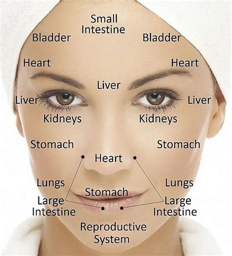 How To Learn Face Reading Middlecrowd3