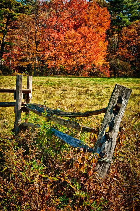 Post And Fence Photograph By Fred Leblanc Fine Art America