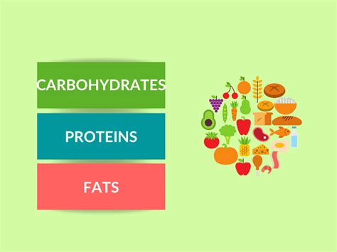 Difference Between Carbohydrates Proteins And Fats Diferr