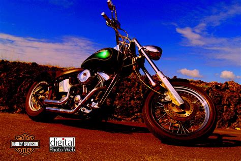 46 Harley Davidson Wallpapers And Screensavers Wallpapersafari
