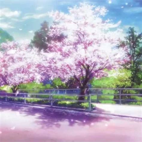 10 Most Popular Anime Cherry Blossom Wallpaper Full Hd