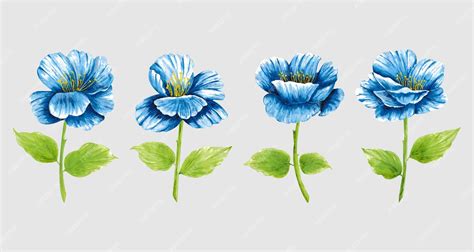 Premium Vector Isolated Blue Watercolor Flower Clip Art Collection