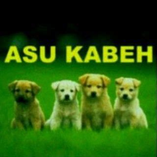 Harga kaos asu kabeh kata lucu bahasa jawa pria wanita hitam. Ghim trên Gambar Lucu