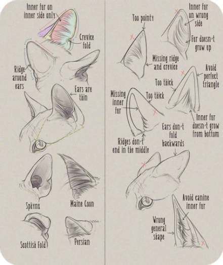 52 Ideas For Drawing Wolf Ears Wolves Drawing с изображениями