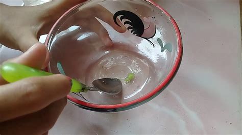 1 sachet penyedap rasa bubuk. Cara membuat slime actifator dengan dua 2 bahan lem dan ...