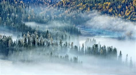 Wallpaper Sunlight Trees Landscape Forest Fall China Lake