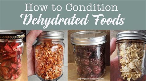 How To Condition Dehydrated Foods For Food Storage And Pantry Youtube
