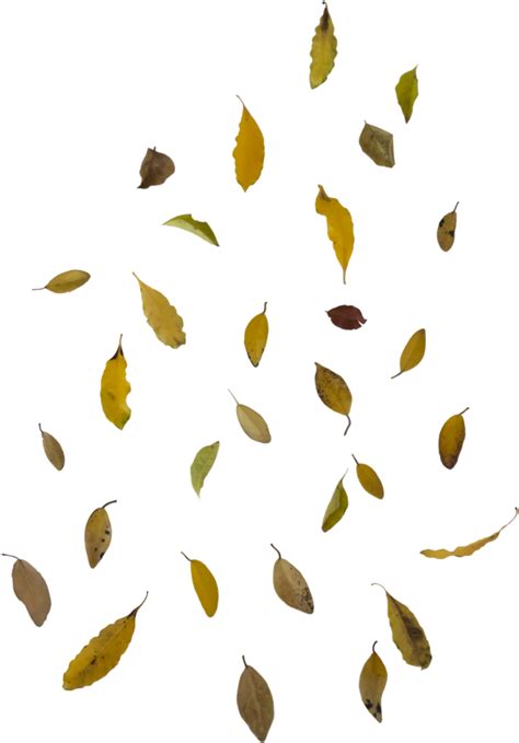 Download Falling Autumn Leaves Free Png Image - Falling Leaves Overlay Png , Transparent Cartoon ...