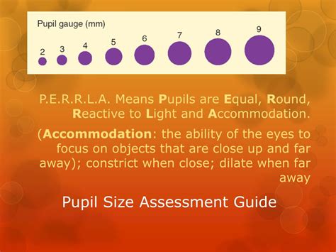 Picture Of Pupil Size Chart Goldreka