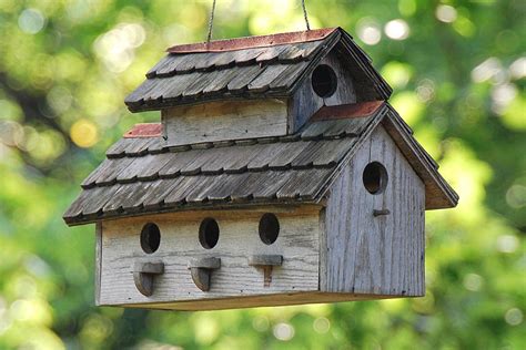 If you haven't tried purchasing birdhouses in the past, don't worry. Bird House Building Tips and Resources