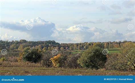 Autumnal Landscape In Germany Stock Image Image Of Bucolic Bush
