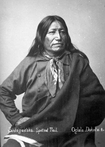 Chief Spotted Tail Photo Portrait Brule Lakota Indian Warrior Native
