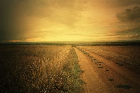 Road In A Field Free Stock Photo - Public Domain Pictures