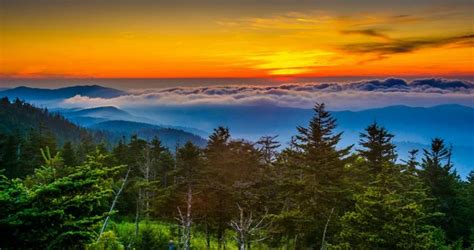 25 Best Places to Visit in Tennessee