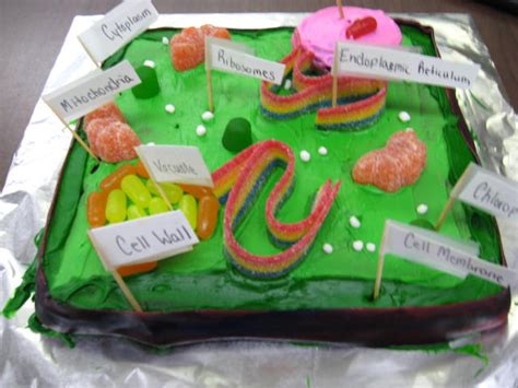 A classic, simple cake recipe for victoria sponge is one of the recipes that you should have in your repertoire. The Plant Cell : Biological Science Picture Directory ...