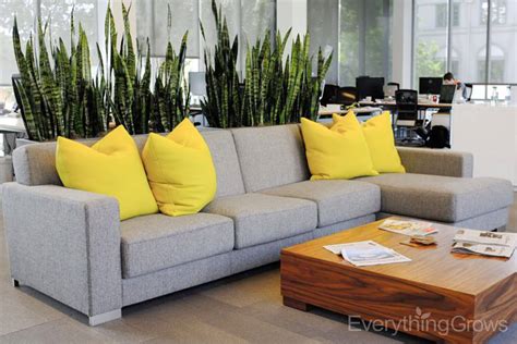 25 Awe Office Plants Interior Design Ideas 13 Is Damn Beautiful