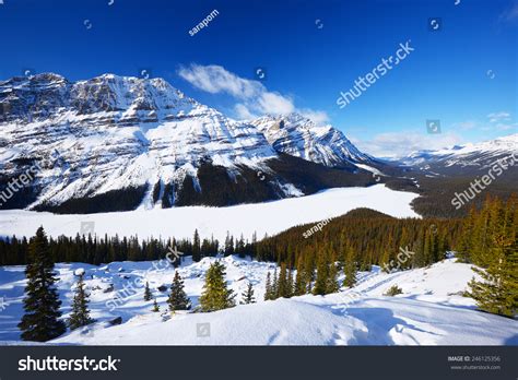 Peyto Lake In Banff National Park At Canadian Rocky