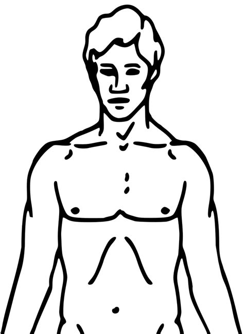 Images Of A Human Body Front And Back Human Body Outline Front And